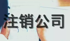 法人可以申請(qǐng)注銷公司嗎？